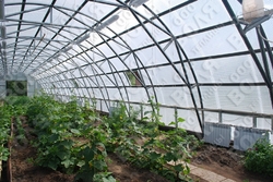 Farmářský profesionální skleník FARMER 8,4 x 7,5 - Volya LLC
