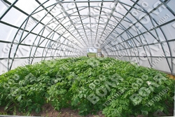Farmářský profesionální skleník FARMER 8,4 x 7,5 - Volya LLC