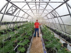 Farmářský profesionální skleník FARMER 14,7 x 4,2 - Volya LLC