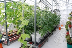 Farmářský profesionální skleník FARMER 14,7 x 7,5 - Volya LLC