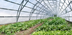 Farmářský profesionální skleník FARMER 21,0 x 7,5 - Volya LLC
