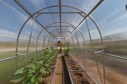 Polykarbonátový skleník Dvushka 2m ( 6 x 2 m ) - model 2020