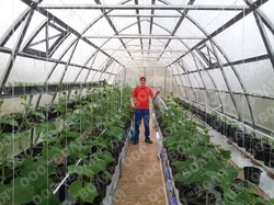 Farmářský profesionální skleník FARMER 4,2 x 4,2 - Volya LLC